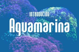 Aquamarina: A Display Font That Stands Out—Without Trying Too Hard
