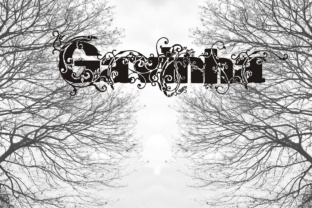 Gavinha: A Bold Display Font for Scroll-Stopping Marketing