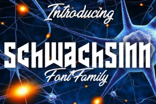 Schwachsinn: A Gothic Display Font for Creative Handmade Products