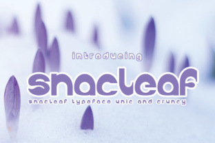 Snackleaf: A Bold Display Font for Campaign Creatives