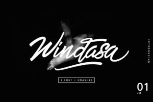 Windasa Display Font Makes Campaign Messages Clearer